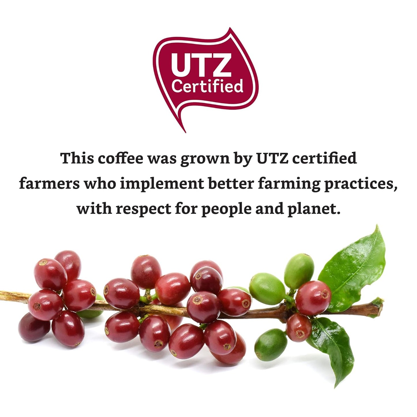 Amazon Brand - Solimo Espresso Capsules, Medium Roast, Compatible with Original Brewers, Pack of 1x50 Capsule (50 count)