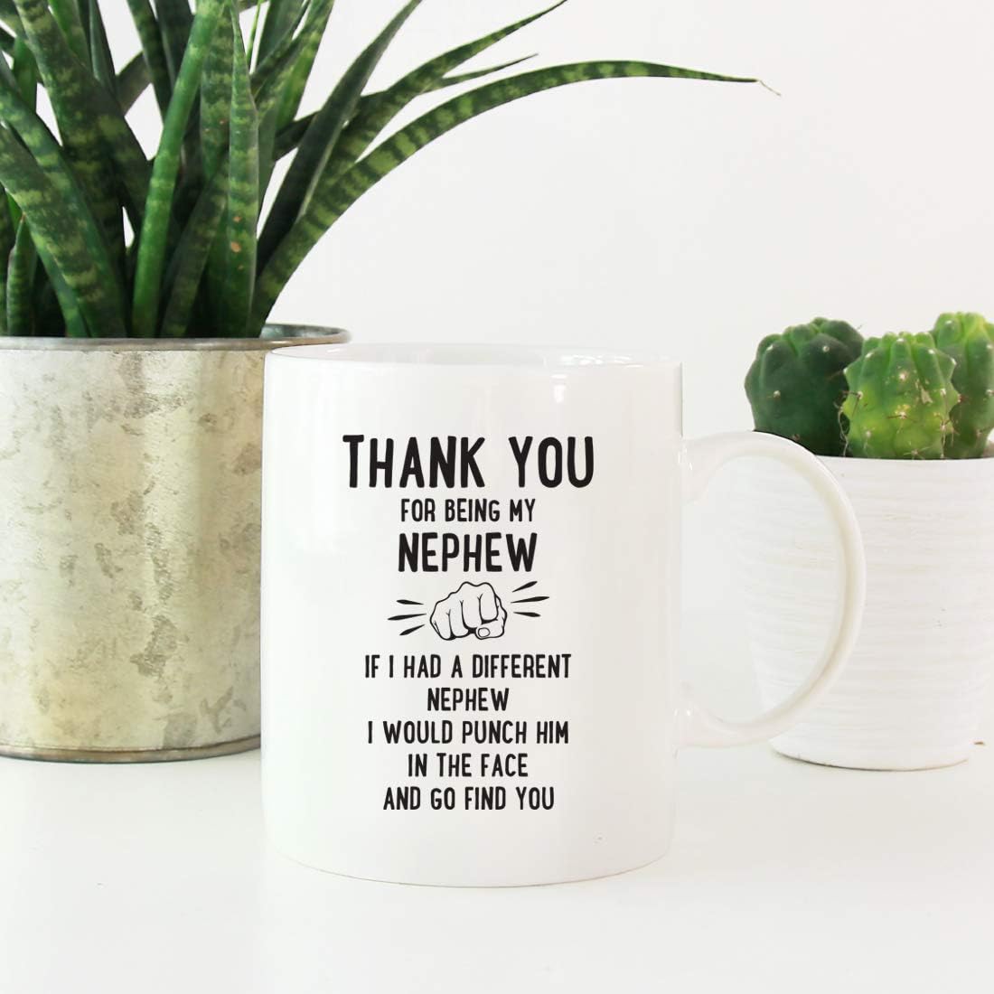 Andaz Press Funny Family 11oz. Coffee Mug Gift, Thank You for Being My Nephew, Punch in Face, 1-Pack, Christmas Birthday Drinking Cup Present Ideas