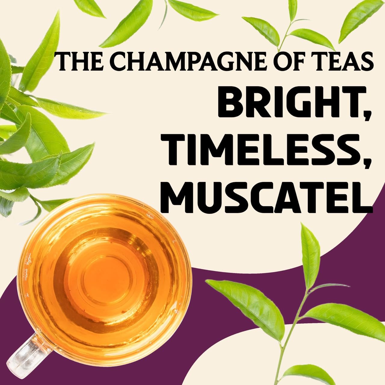 BREWIX, Darjeeling Tea Leaves from Hills of Himalayas (50+ Cups, 3.53oz/100g) | Pure Loose Leaf Darjeeling Black Tea | Long Leaf Grade | Straight From Source In India