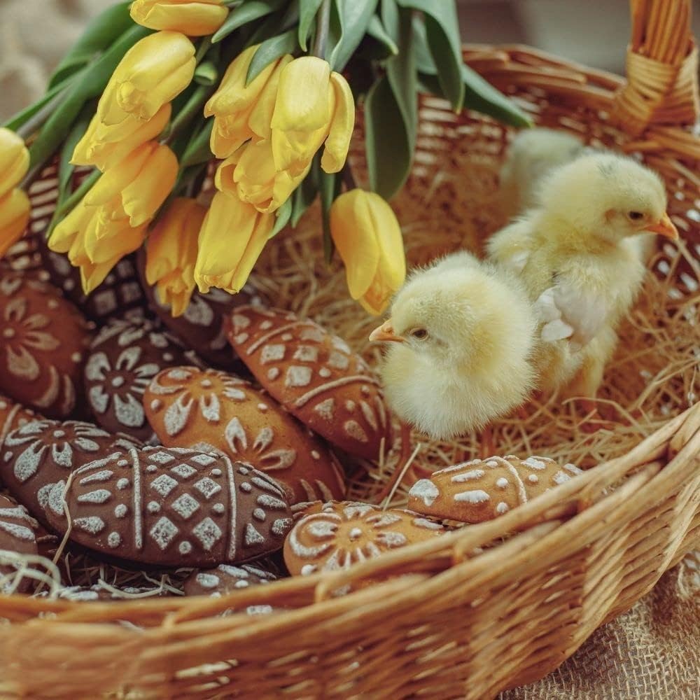 Wooden Cookie Molds, Wooden Cookie Biscuit Mold Baking Cookie Mold Wooden Carved Mold Cookie Cutter Embossing Mold, DIY Shapes Cookie Stamp,Gingerbread Mold,Pine Cone Mold (Eggs)