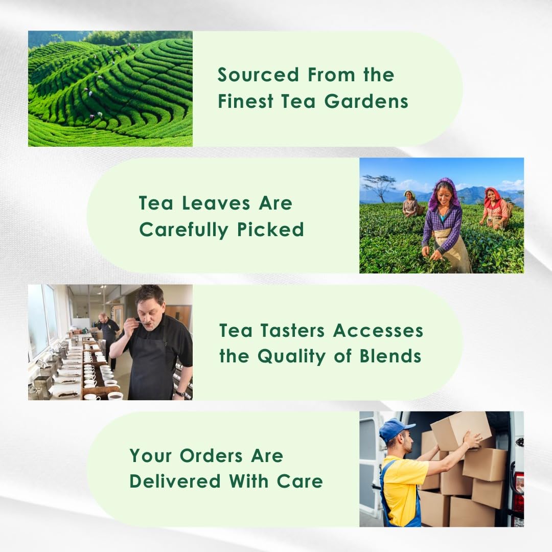 Turmeric Tulsi Tea Bags (50 Count), Green Tea with Turmeric & Peppermint, Stress Relieving, Low Caffeine Gluten Free, Whole Loose-Leaf Pyramid Tea Bags