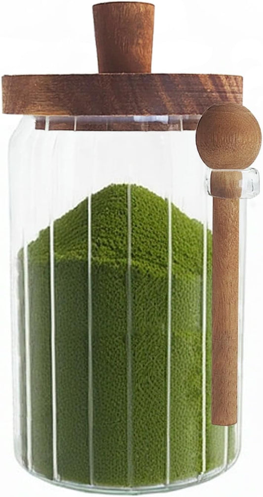 Glass Food Storage Jars with Handles Wood Lid and Spoon, 25 oz Glass Kitchen Canisters for Coffee, Tea, Cereal, Spice and Canning, Mason Jars, Cute Jar
