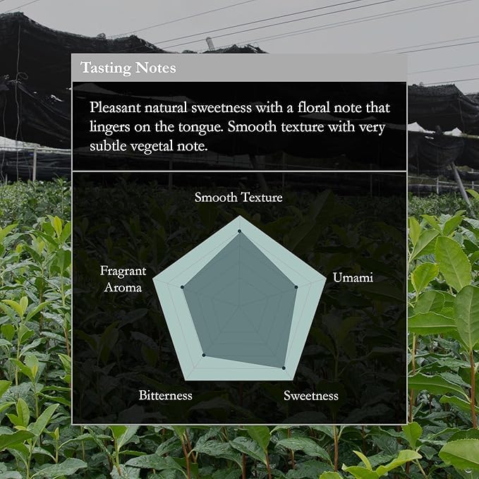 Naoki Matcha Nishio Bloom Masters Collection Matcha – Authentic Japanese Ceremonial Grade Matcha Green Tea Powder from Nishio, Japan (40g / 1.4oz)