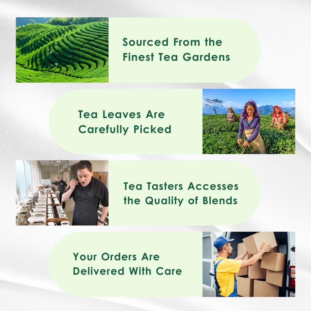 Tealeaf & Co. Turmeric Tulsi Holy Basil Green Tea Loose Leaf - Turmeric, Tulsi & Peppermint Tea Blended with Fresh Herbs & Spices - 50 Servings, Low Caffeine & Gluten Free (3.52oz/100gm)