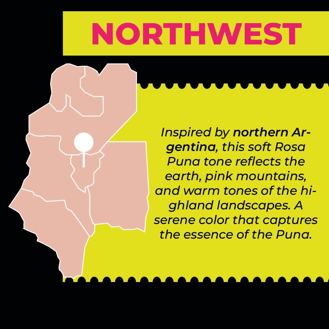 BALIBETOV Yerba Mate Cup – Vacuum Insulated Stainless Steel Gourd with Silicone Cover & Non-Slip Base – Includes 2 Bombillas & Cleaning Brush – Unique Design, Easy to Clean