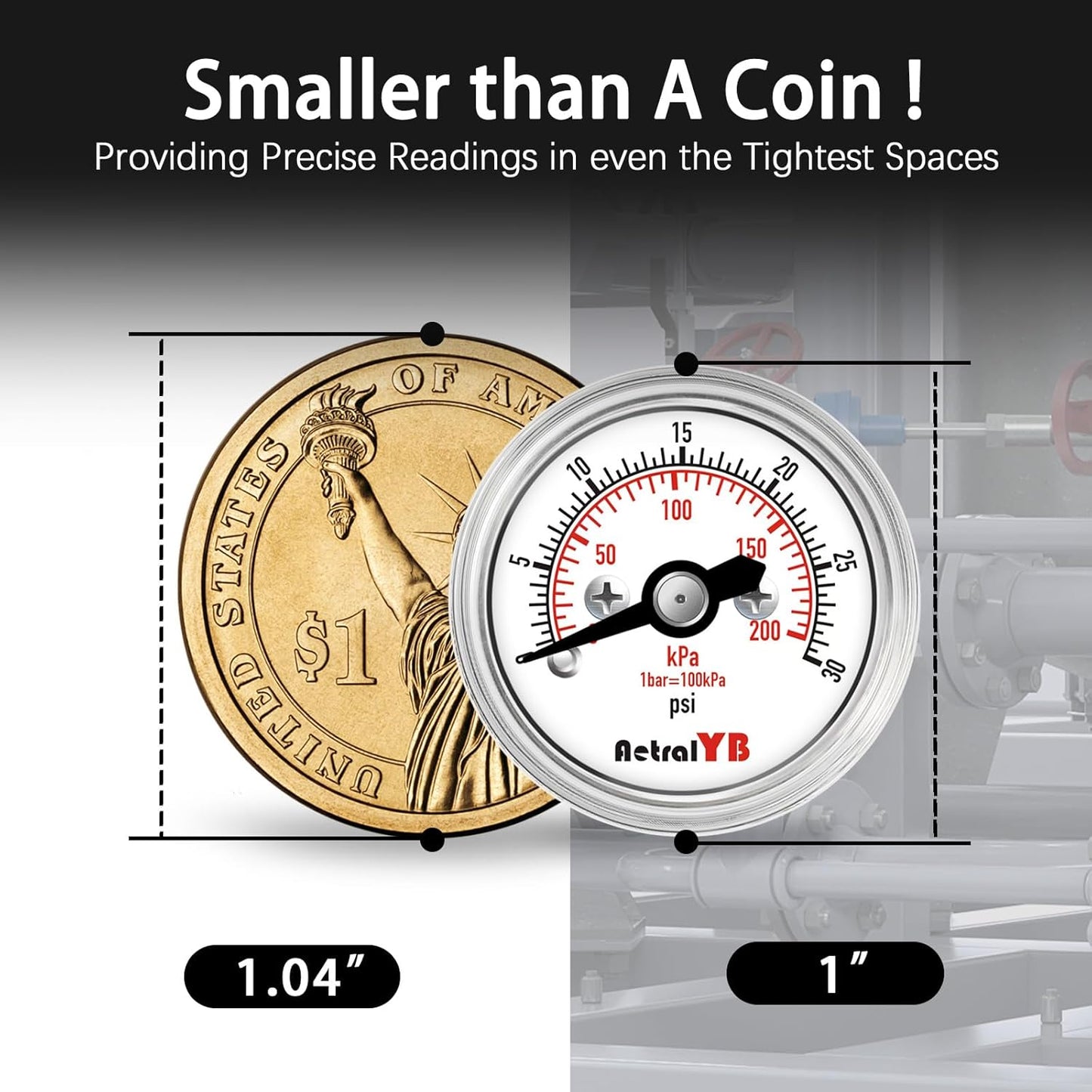 Mini1 Inch Pressure Gauge, 0-30 Psi Air Gauge, Stainless Steel Case, 1/8" NPT Back Mount, Pressure Gauge for Water Air Pressure Test