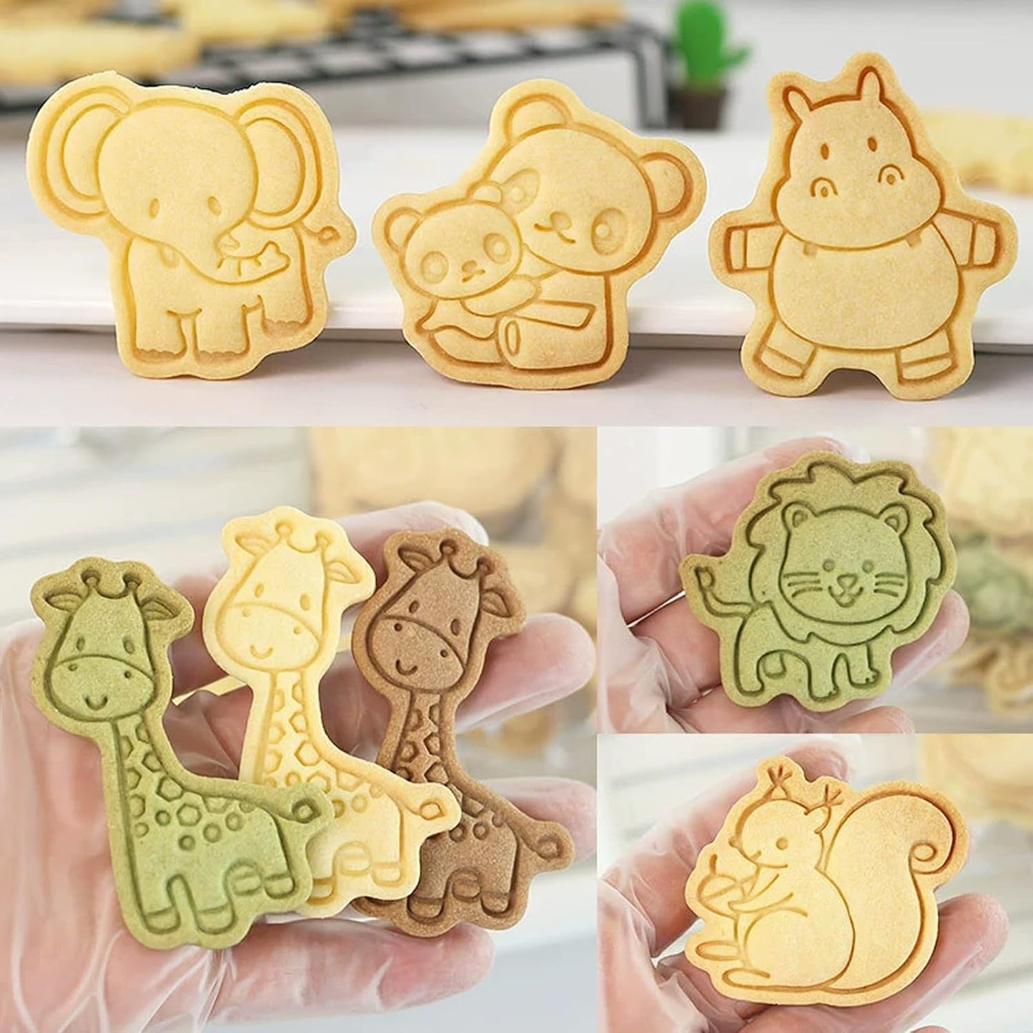 16pcs Animal Cookie Cutter Stamps Set, Lion, Panda, Forest Themed Plunger Stampers for Baking, Plastic Biscuit Molds for DIY Cookies, Cake Decor(J16)