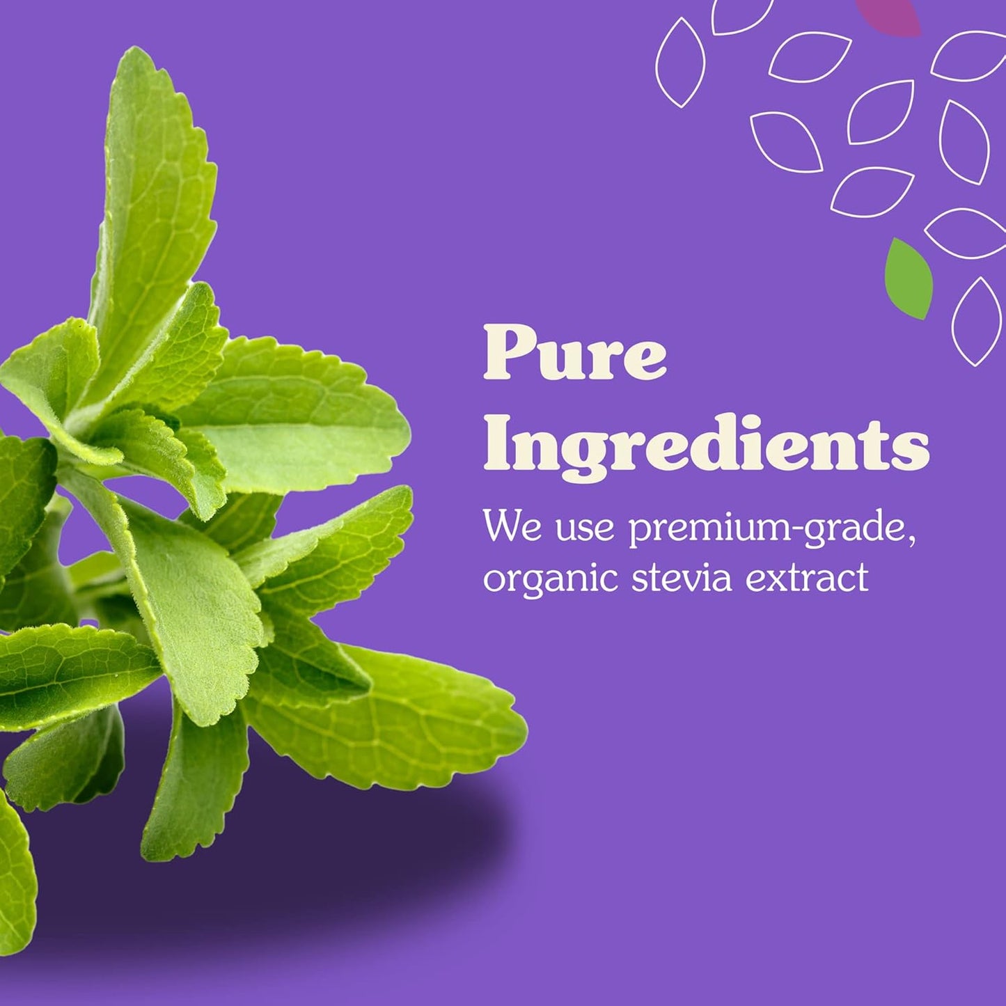 NuNaturals Stevia Syrup, Sugar-Free Sweetener, Plant-Based Sugar Substitute, Zero Calorie, Vanilla Flavor, 16 oz