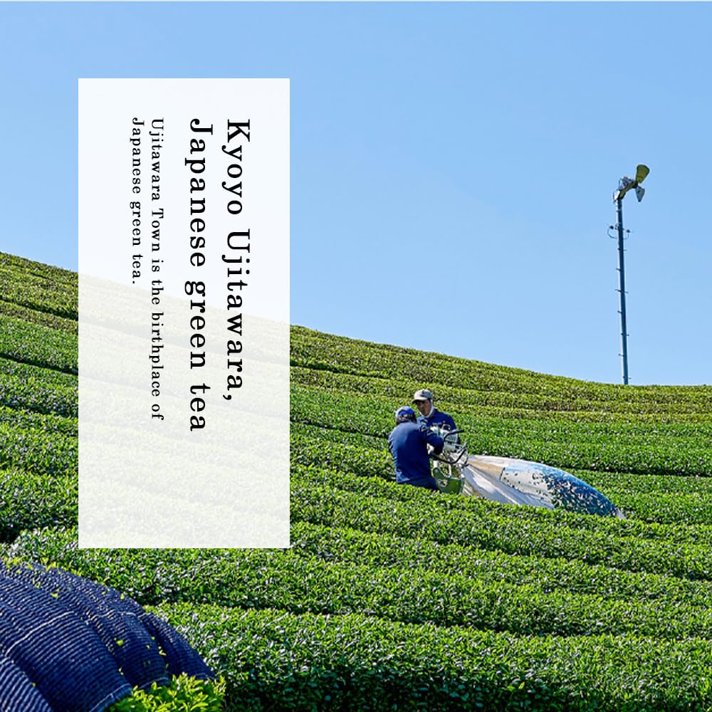 TOMOSAN Organic Genmaicha Tea - Loose Leaf Japanese Premium Green Tea - Genmai Matcha Roasted Brown Rice Blend, USDA Certified, Uji-Kyoto, 100g/3.5oz