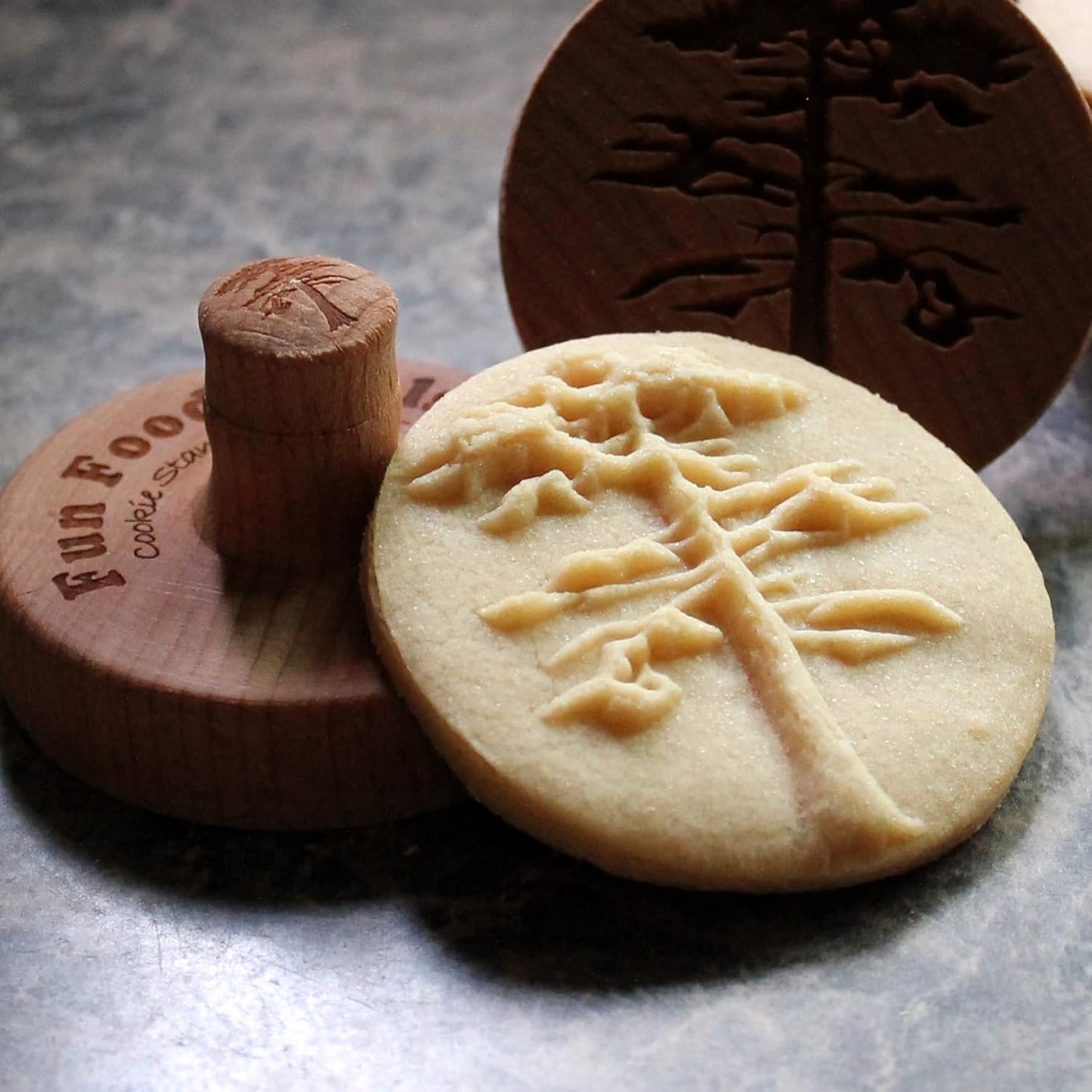 Wood Cookie Stamp, 2.5 Inch (Sequoia Tree CS-065)