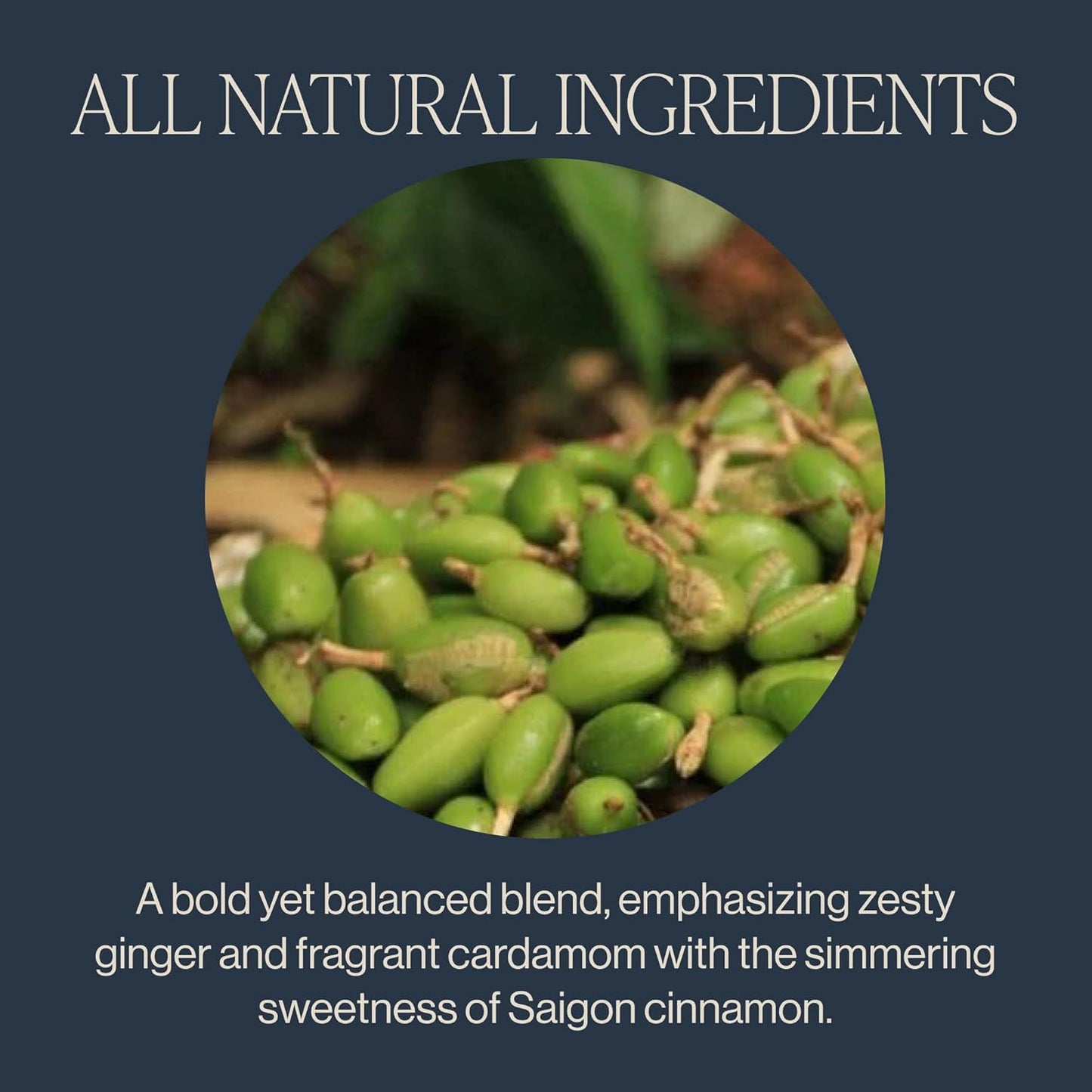 Rishi Tea Masala Chai Black Sachet Tea Bag Blend - Organic, Assam with Whole Spices, Energizing & Caffeinated - 15 Count (Pack of 1)