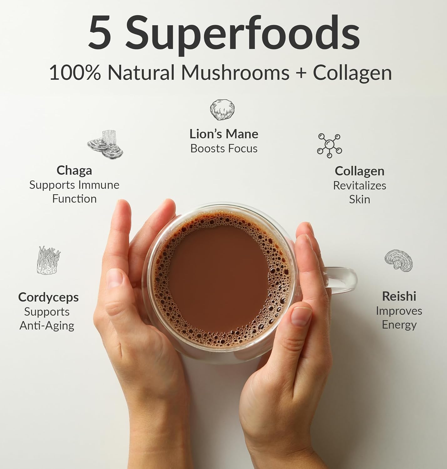 BiOptimizers Mushroom Coffee Alternative – Chocolate Drink – Lion’s Mane, Chaga, Reishi + Collagen Peptides for Focus, Energy & Gut Health – Adaptogenic Mushrooms & MCT Powder – 30 Servings