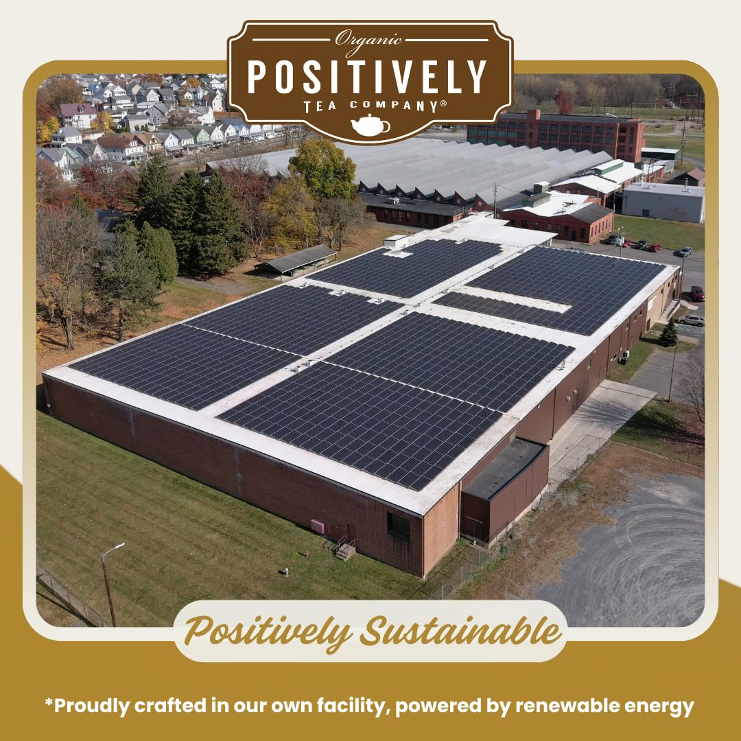 Organic Positively Tea Company, Oolong Tea Sampler, Loose Leaf, 4 Ounce, 3 Pack