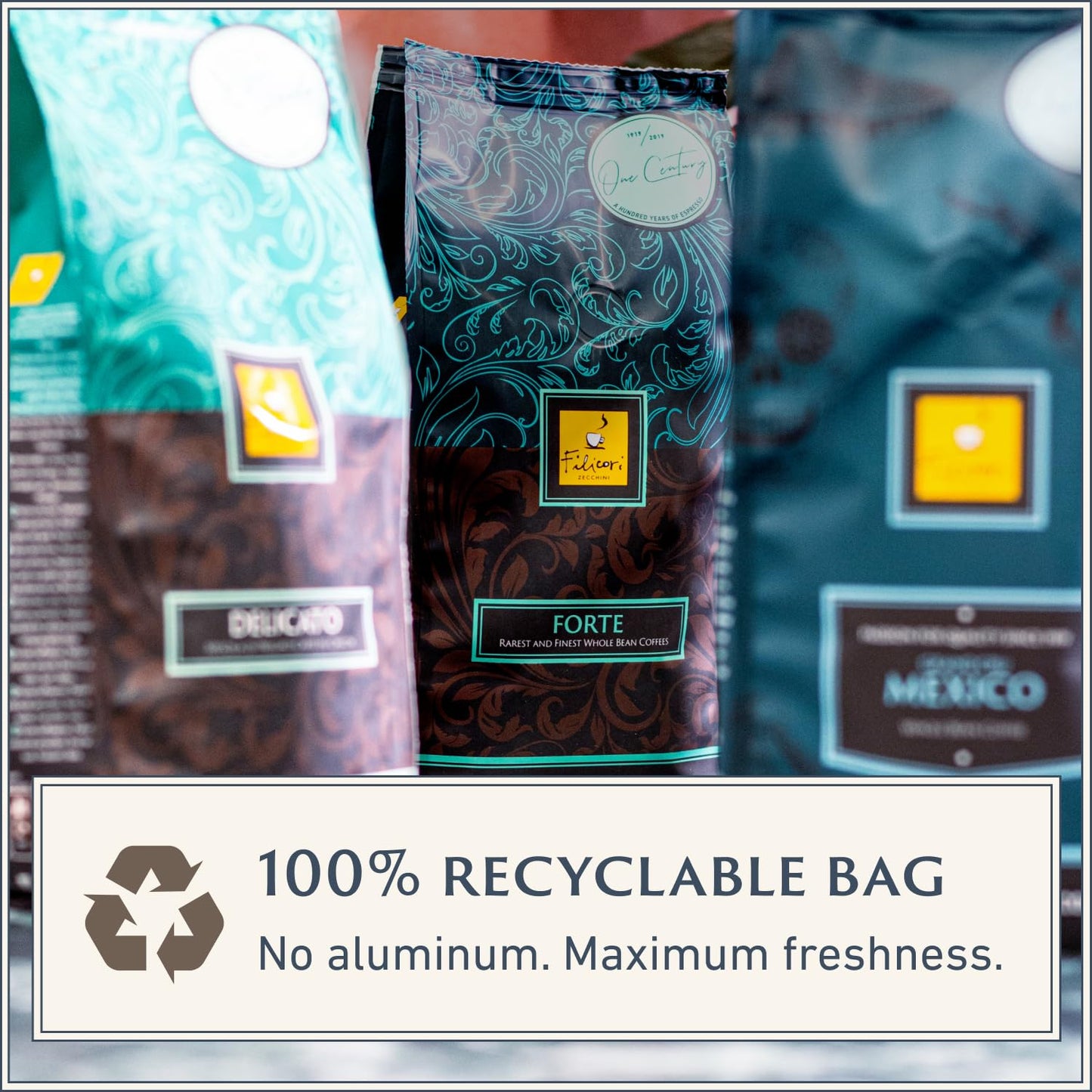 Filicori Zecchini Italian Espresso Beans – Whole Bean Coffee, Bold Dark Roast Arabica & Robusta Blend Roasted in Bologna – Slow Roasted Forte 340g