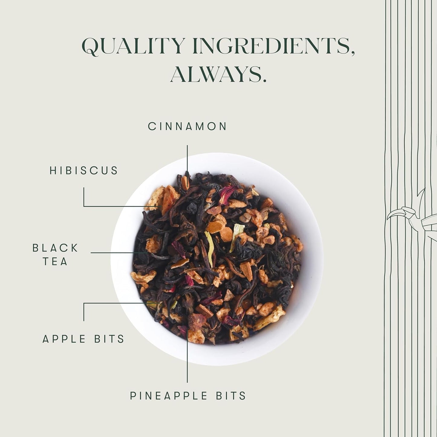 Luxmi estates Apple Cinnamon Black Tea 50 Tea Bags (100g) Pack | USDA Certified Premium Black Tea | Anti-Oxidants, Immunity Booster | 50 Cups Bulk Pack