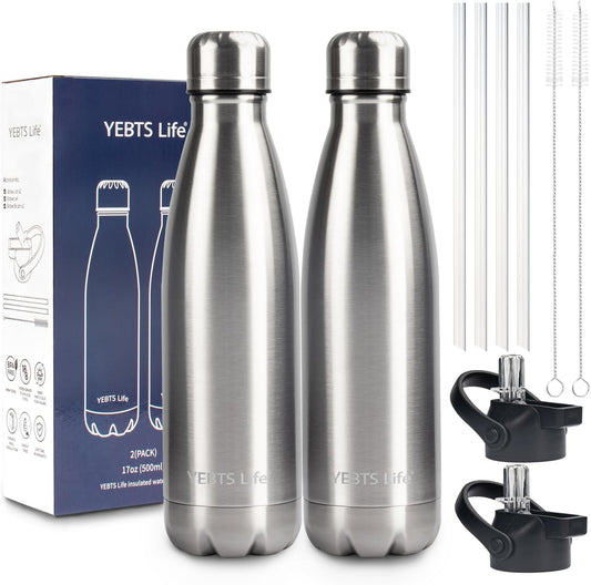 Insulated Water Bottle, 2 Pack-17oz Stainless Steel Water Bottles with straw lid, Metal Sports Water Bottles for Boys,Girls, Double Wall Vacuum BPA-Free Flask for School, Sports & Travel-Silver