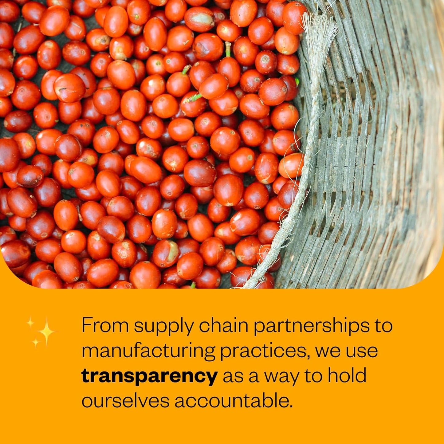 Counter Culture Coffee - Fresh Roasted Certified Organic Whole Bean Coffee (Kosher) (Apollo Double Pack)