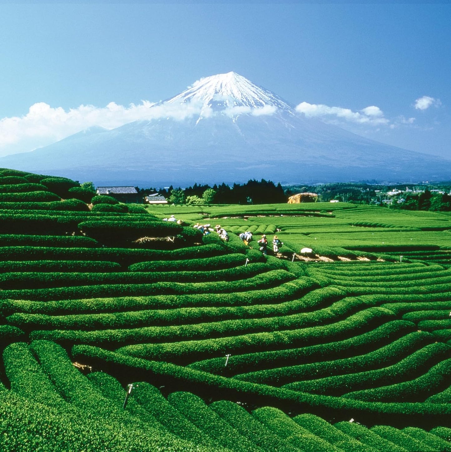 Palais des Thés - N°25 Holiday Collection Miniatures Box Gift Set - Assortment of Black, Green, Herbal, and Rooibos Teas - Variety Pack of 4 Loose Leaf Tins