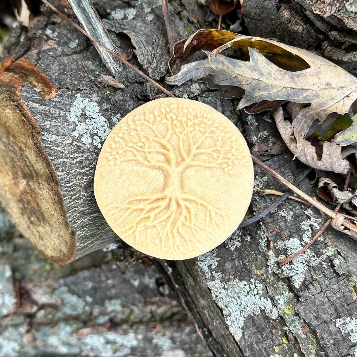 Wood Cookie Stamp, 2.5 Inch (Rooted CS-122)